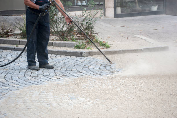 Best Roof Washing  in Gonzales, CA